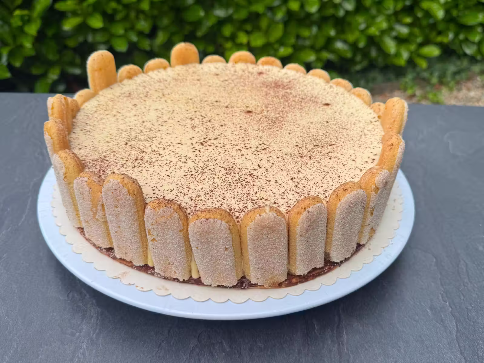 Tiramisu-Torte